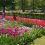 07-Keukenhof-Mai-2014.jpg