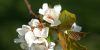 k-DSC05111.JPG