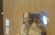 BRH-Tour Bochum_40.jpg