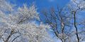 k-20210124_135950.jpg