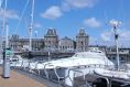 flandern04.jpg