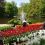 58-Keukenhof-Mai-2014.jpg