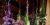 PG 12-06 Bad Wimpfen 040.jpg