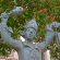 k-DSC_1125.JPG