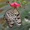 k-DSC_5818 1.jpg