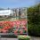 02-Keukenhof-Mai-2014.jpg