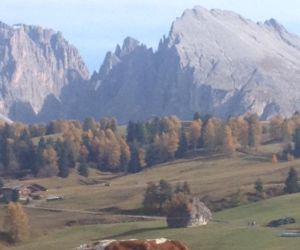 weinand-trip-1.jpg