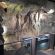 BRH-Tour Neandertal_6.jpg