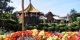 21 Phantasia-06092019-Goldschmidt.jpg