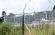 51 Bonn-18-07-2019-Goldschmidt.jpg