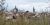 PG 12-06-08 Rothenburg 104.jpg