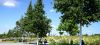 k-DSC05308.JPG