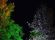 Lohmeyer-Seeparklichter_17.jpg