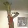 k-P1000053.JPG