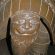 k-P1000075.JPG